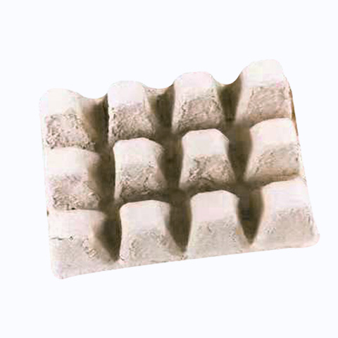 12-points-seeding-cup-6 12-points-seeding-cup-6