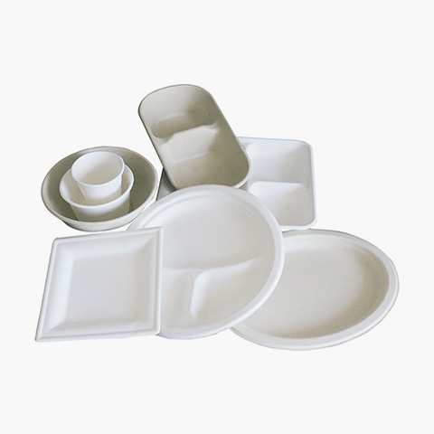 Bagasses-tableware-2 Bagasses-tableware-2