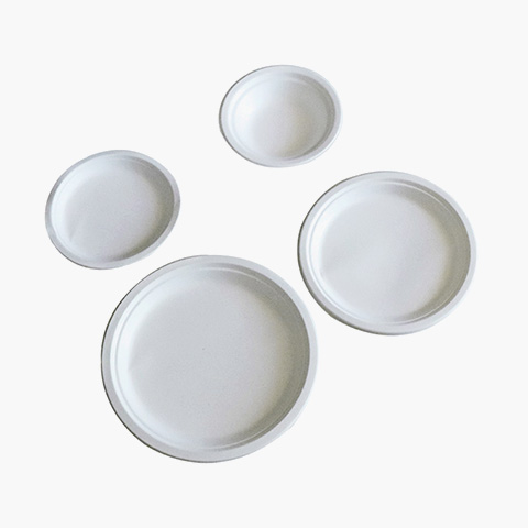 Bagasses-tableware-6 Bagasses-tableware-6