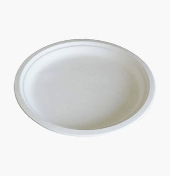 Sugar cane tableware Sugar cane tableware