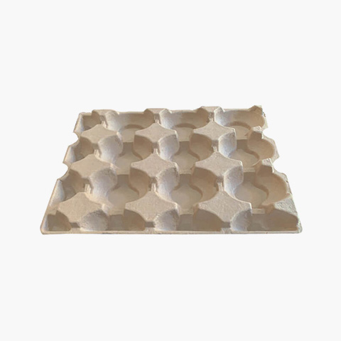 Cantaloupe-pulp-buffer-tray-5