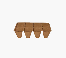 12 points seeding cup