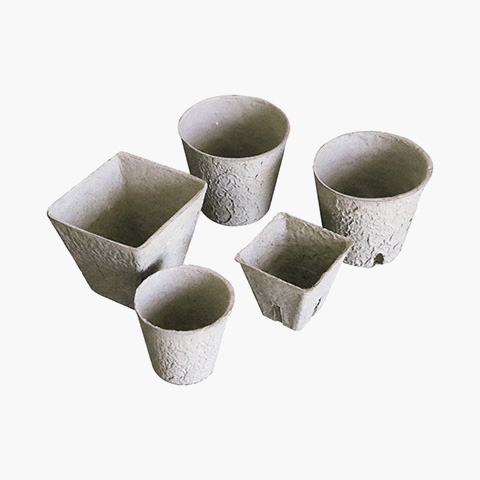 Degradable-seedling-cup(6mm-sqaure)-3 Degradable-seedling-cup(6mm-sqaure)-3