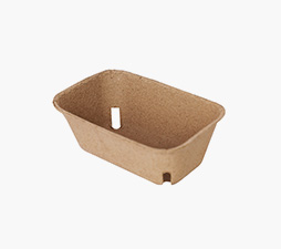 rectangle fruit container