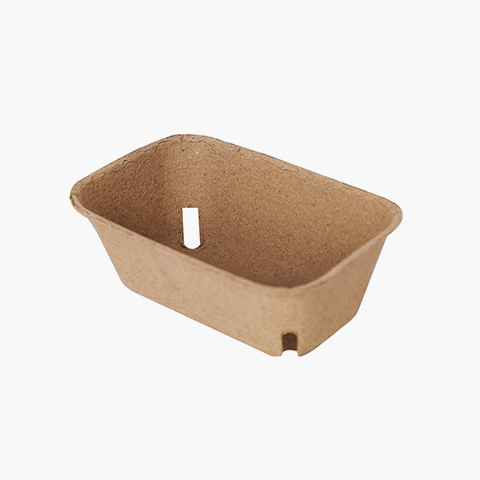 rectangle-fruit-container-2 rectangle-fruit-container-2