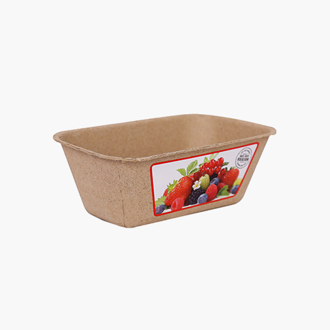 rectangle-fruit-container-3 rectangle-fruit-container-3