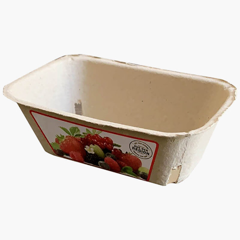 rectangle-fruit-container-4 rectangle-fruit-container-4