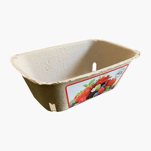 rectangle-fruit-container-5 rectangle-fruit-container-5