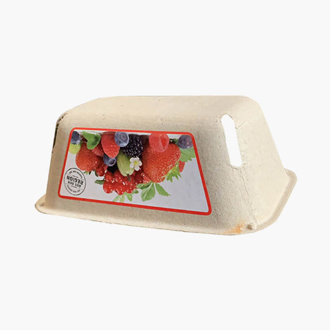 rectangle-fruit-container-6 rectangle-fruit-container-6